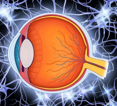 Neuro-Ophthalmology Examination